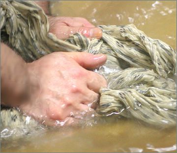 この作業を、“湯揉み”と呼ぶ