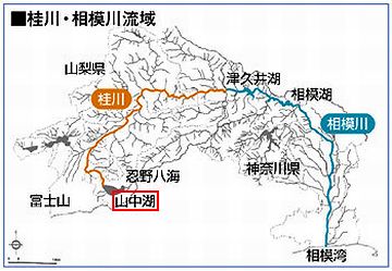 山梨県の山中湖を水源とする一級河川ですよ
