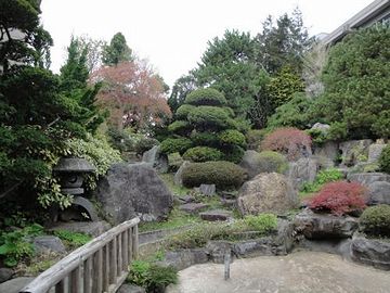 こりゃ、典型的な日本庭園ですな