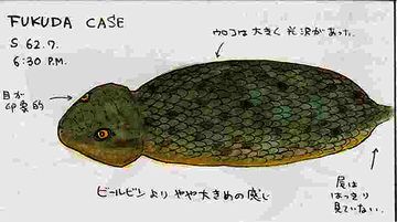 今日も元気だ、うんこが太い