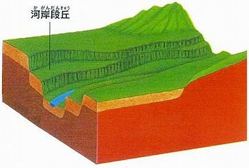 河岸段丘の上に位置してて、標高は20メートルね