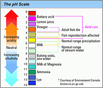 水深200メートルで、pH5という結果