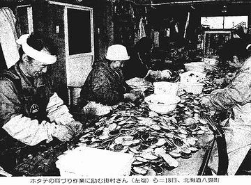 ホタテの養殖は、いつごろから始まったんですか?