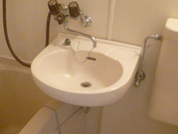 ユニットバスの洗面ボウルに置いておきました