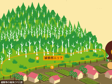里山は、山と里の間にあるバッファゾーンだったのです