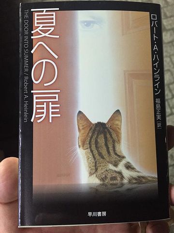 猫の後ろ頭って、いいですよね