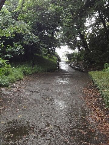 園路は古く、雨が水溜まり