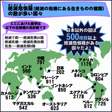現在の指定は、『絶滅危惧IB類』