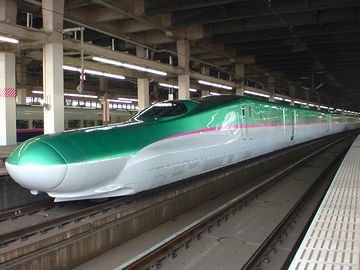 どーも、このヘラサギ顔は馴染めません