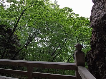 木々の隙間から遠く望めるようです。この画像では霧で見えず。