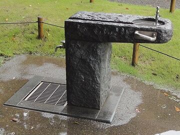 の水飲みは、本物の石?