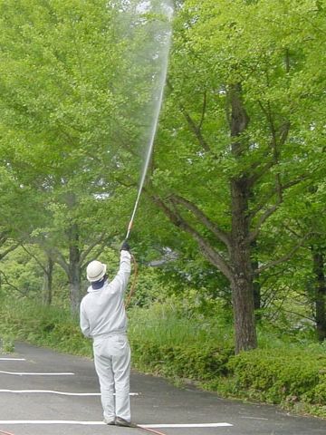 薬剤散布