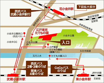 『江戸東京たてもの園』の真ん前には、JR中央線の『武蔵小金井駅』行きのバス停があります