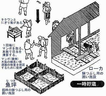 ニシンの出荷。モッコ背負いの人夫は、食事を摂る時間も無く、歩きながらにぎり飯を食べたそうです。