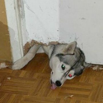 侵入を企ててるようです