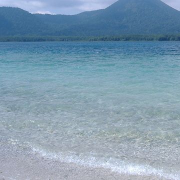 綺麗な水