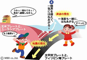 引きずりこまれてた北米プレートが、跳ねあがる