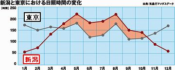 新潟は、11月に入ると、一気にお天気が崩れてくるから……