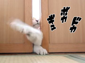 猫の手を借りても、ぜったいに開けられません