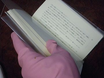 手袋して本読んでたものね