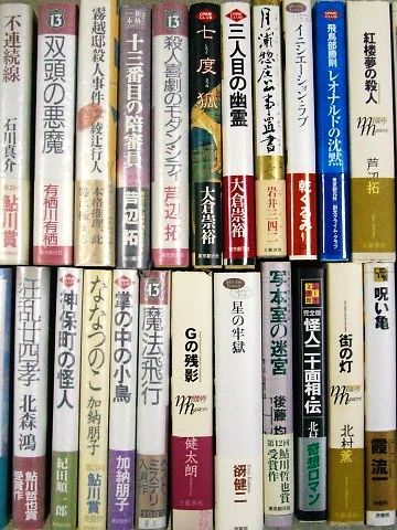 小説であるかもよ?