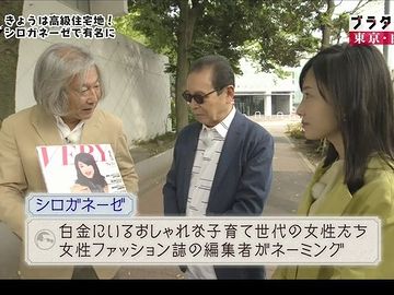 シロガネーゼが出入り