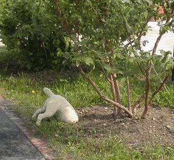 ここ掘れワンワンって?