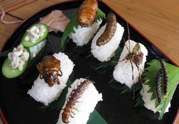虫寿司だそうです