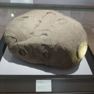 なんじゃこりゃー?