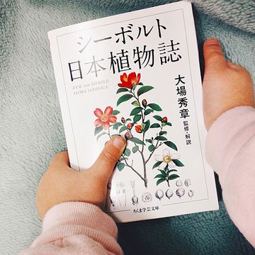 日本の植物を初めてヨーロッパに紹介した本