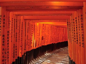伏見稲荷・鳥居のトンネル