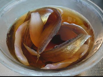 三枚におろして酢締めにすると、驚くほど美味しいです