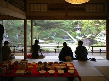 北向きだから、陽が差さないのです