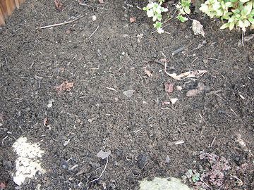腐葉土と、下の土を混ぜ合わせます