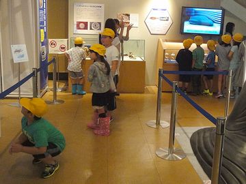 黄色い帽子の小学生