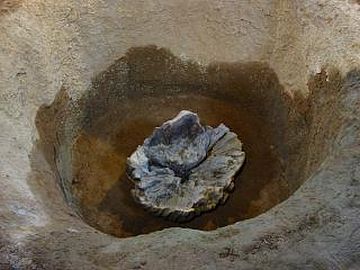 直径1メートルのクリの柱です