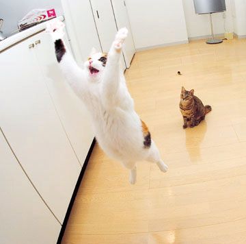 また、話が飛ぶ