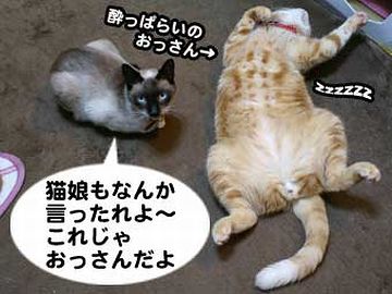 介抱してくれたの?