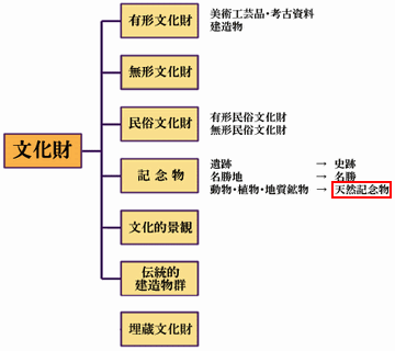 文化財