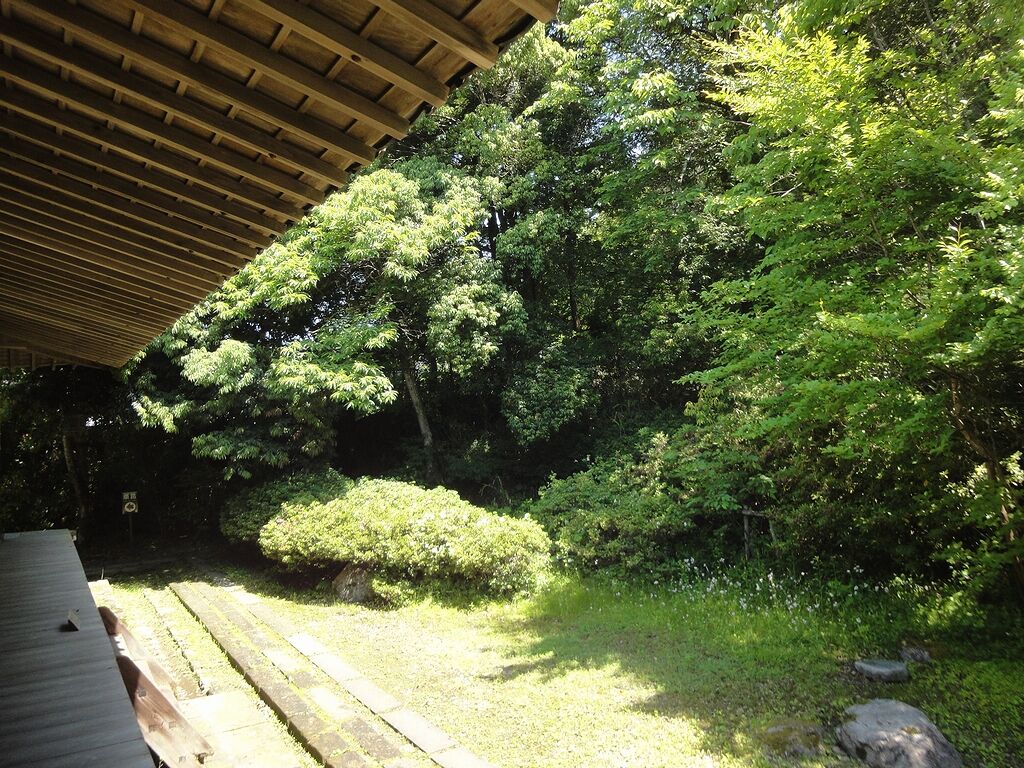 緑が目に染むるわい