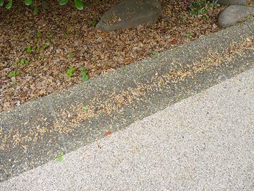 謎の1枚