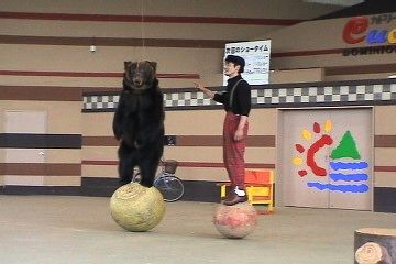 バスケットボールになんか乗れるか!