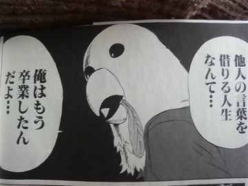 オウムです。『荒川アンダー ザ ブリッジ』という漫画らしいです(謎)。