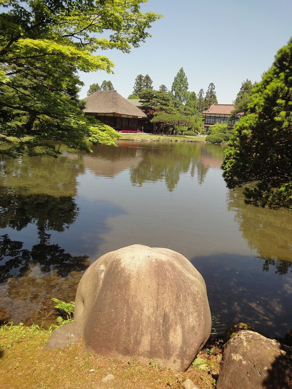 ここもビューポイントやな