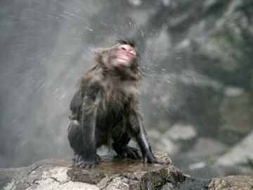 温泉に入るのはいいけど、湯冷めしないもんかね?