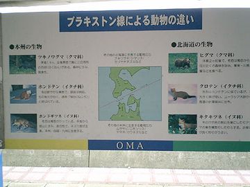 大間崎にある説明板