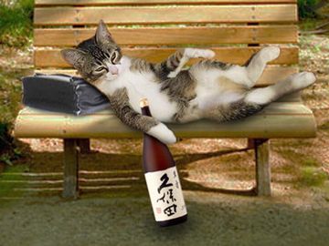 朝から、酔ってるんじゃないですか?