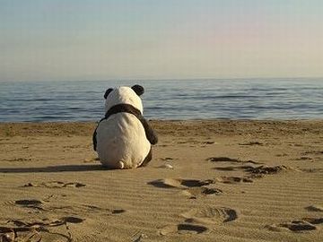 虚しいですな