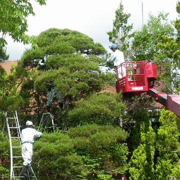 車が寄せられれば、高所作業車で作業できます