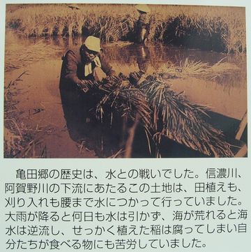 亀田郷と云って、昔は低湿地だったわけ